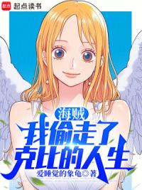 海贼：我偷走了克比的人生