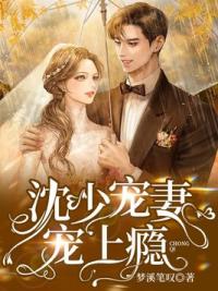 沈少宠妻宠上瘾