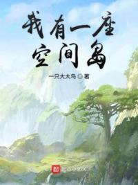 我有一座空间岛